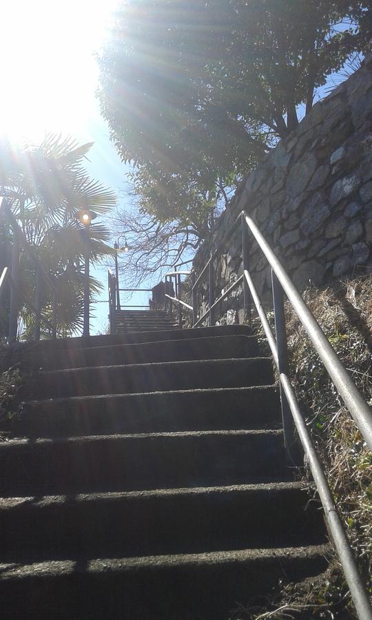 Il Nido Sul Lago Stresa Exterior photo